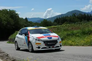 Peugeot 208 R2 e 208 R5 Test