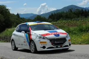 Peugeot 208 R2 e 208 R5 Test