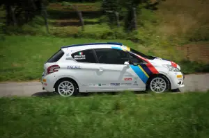 Peugeot 208 R2 e 208 R5 Test