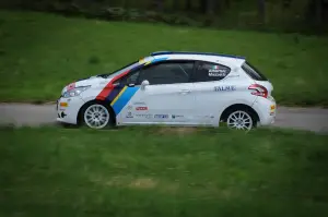 Peugeot 208 R2 e 208 R5 Test - 60