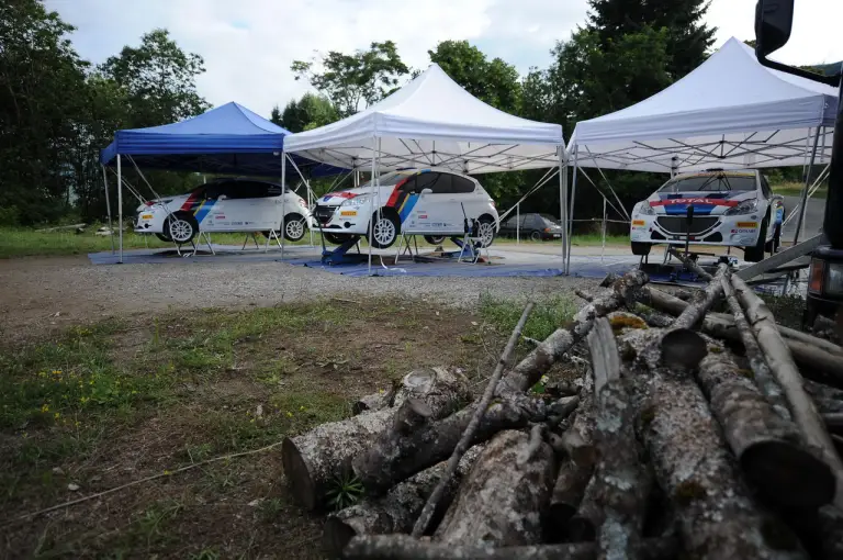 Peugeot 208 R2 e 208 R5 Test - 91