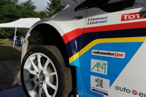 Peugeot 208 R2 e 208 R5 Test