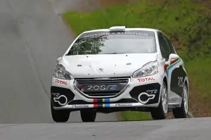 Peugeot 208 R2 - 8