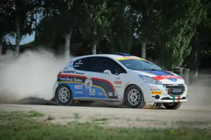 Peugeot 208 R5 e R2: test su sterrato