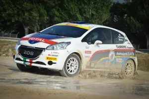 Peugeot 208 R5 e R2: test su sterrato