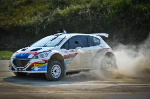 Peugeot 208 R5 e R2: test su sterrato