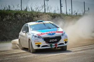 Peugeot 208 R5 e R2: test su sterrato - 35