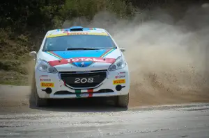 Peugeot 208 R5 e R2: test su sterrato