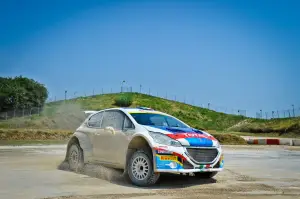 Peugeot 208 R5 e R2: test su sterrato