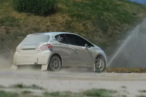 Peugeot 208 R5 e R2: test su sterrato