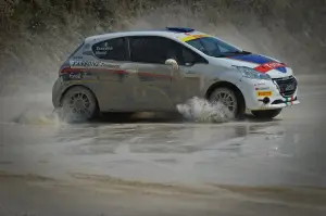 Peugeot 208 R5 e R2: test su sterrato