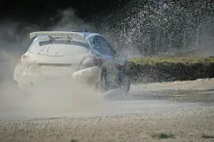 Peugeot 208 R5 e R2: test su sterrato