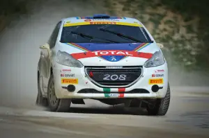 Peugeot 208 R5 e R2: test su sterrato - 86