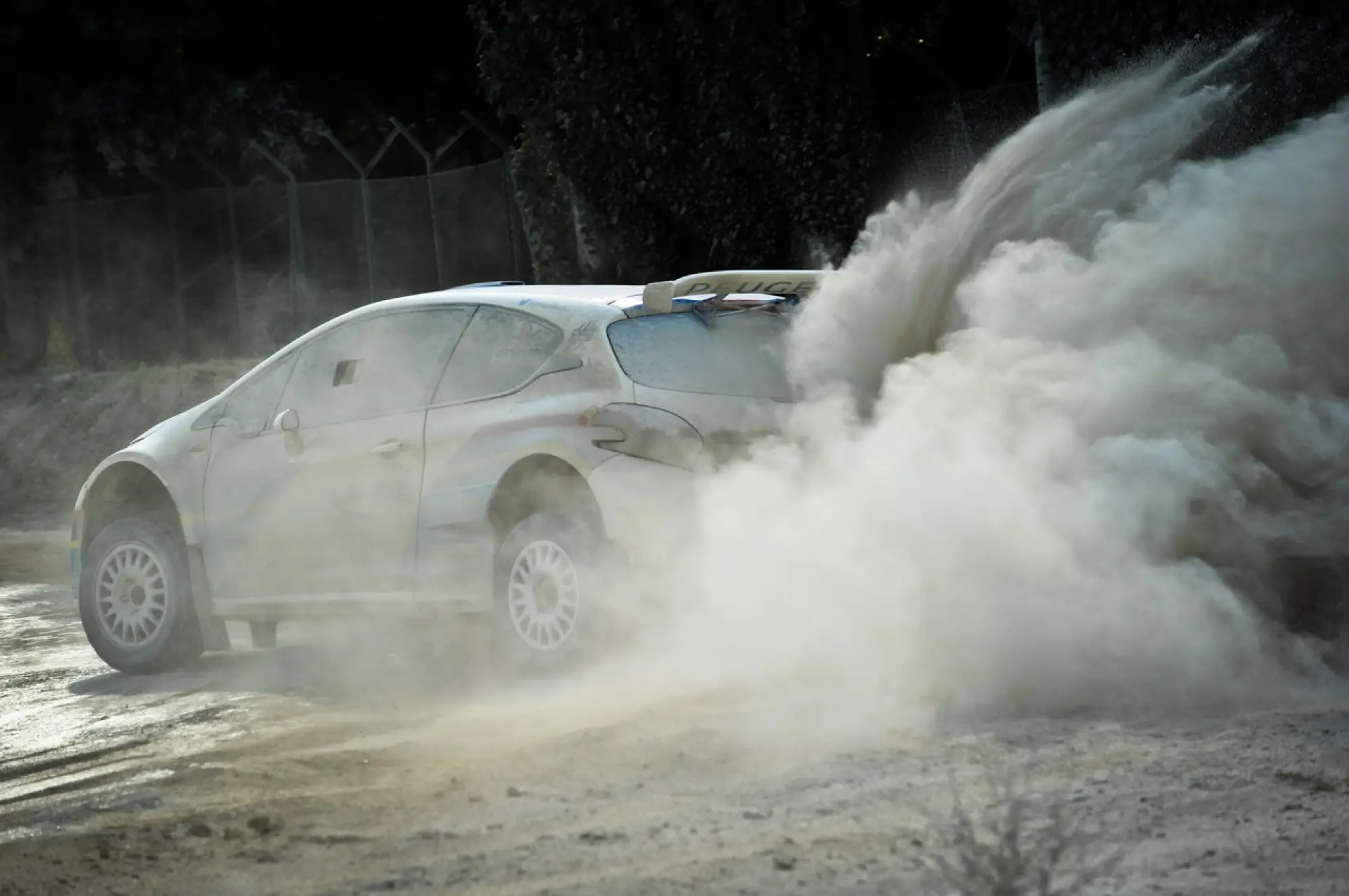 Peugeot 208 R5 e R2: test su sterrato - 95
