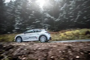 Peugeot 208 Rally 4 - 10