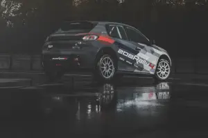 Peugeot 208 Rally 4 - 2