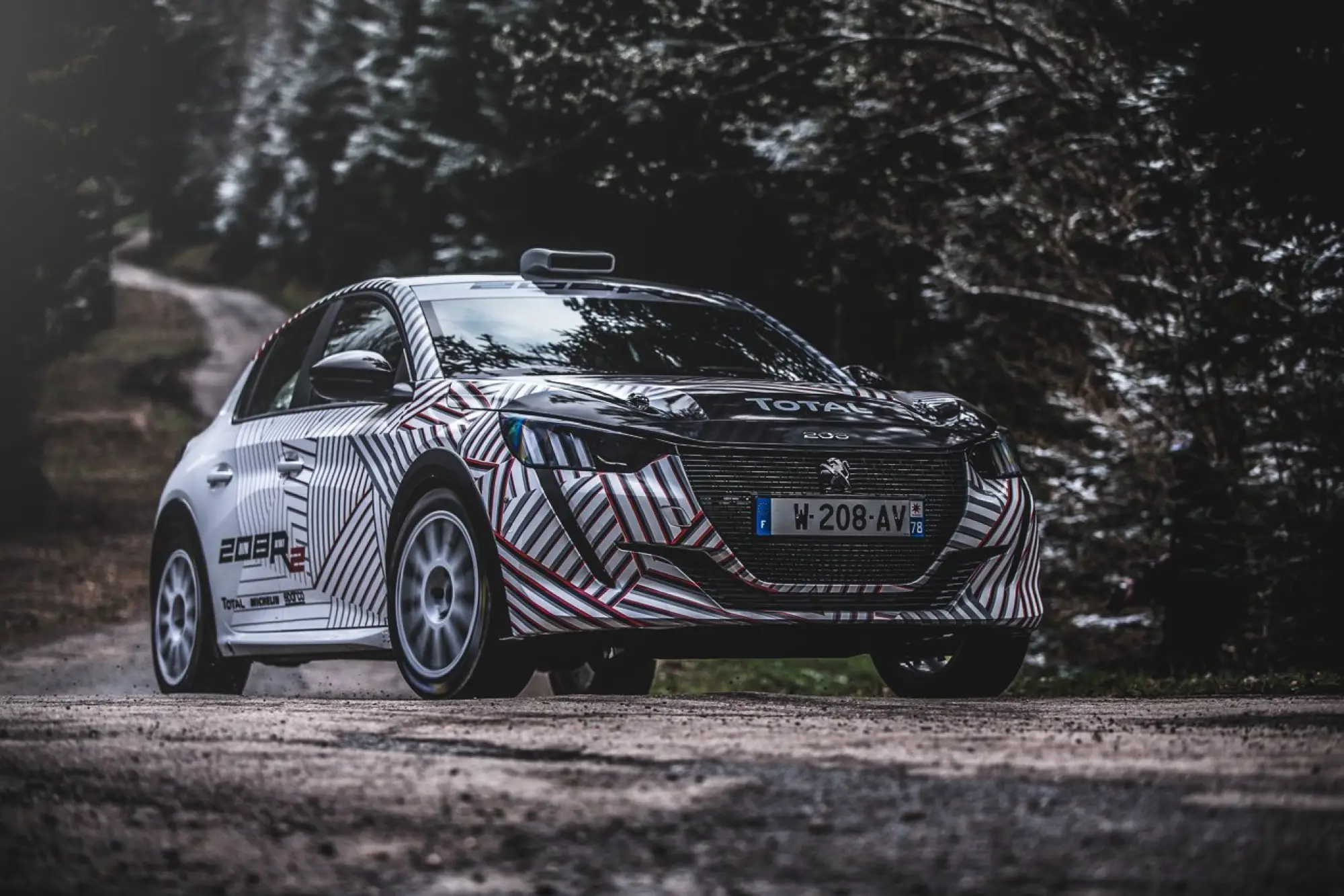 Peugeot 208 Rally 4 - 7