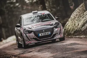 Peugeot 208 Rally 4 - 8