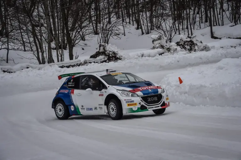 Peugeot 208 T16 e Paolo Andreucci - Ice Rosa Ring - 8