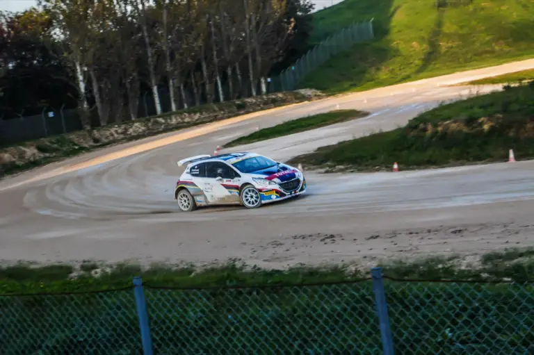 Peugeot 208 T16 - Paolo Andreucci - 15