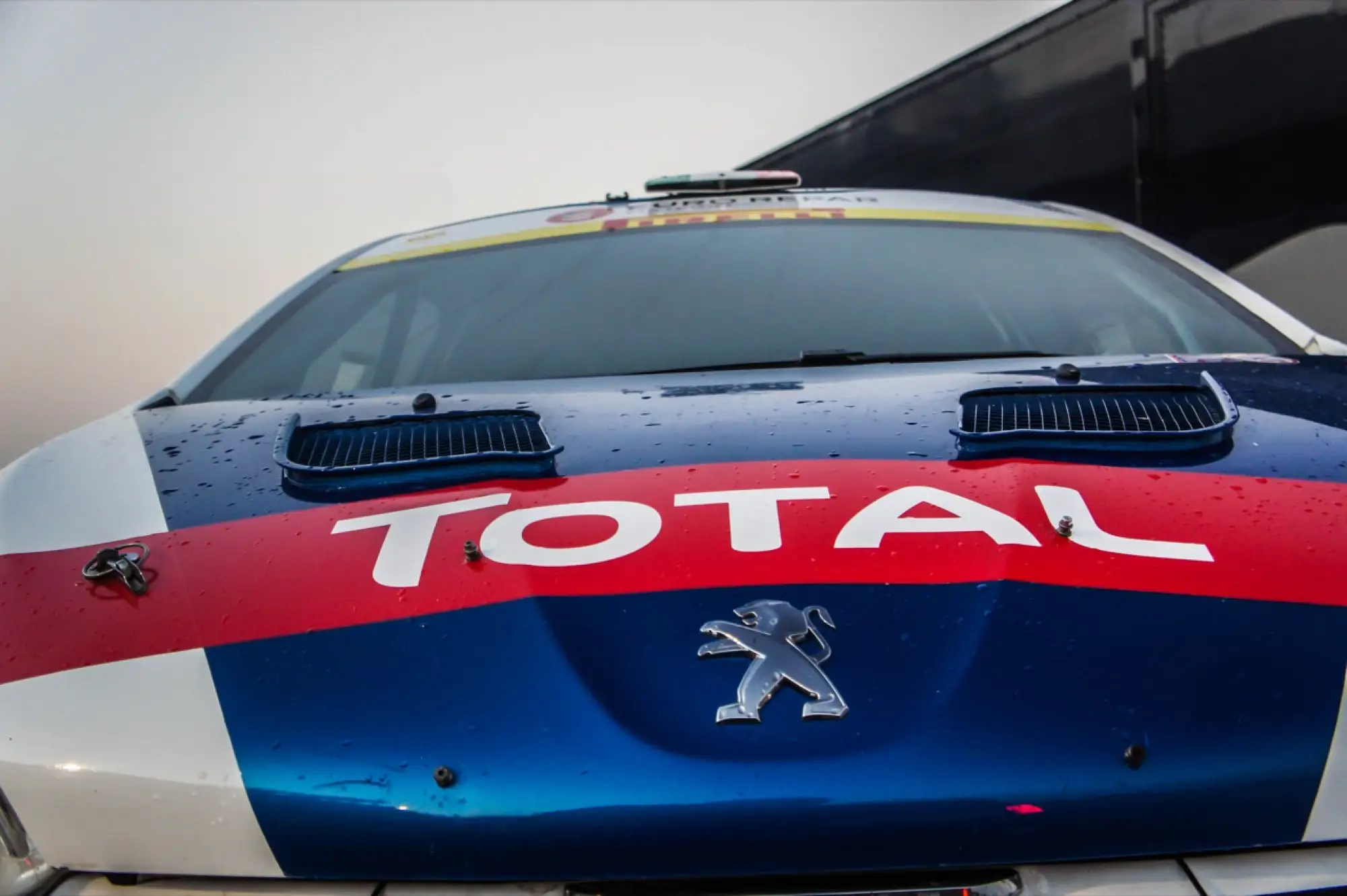 Peugeot 208 T16 - Paolo Andreucci - 45
