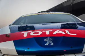 Peugeot 208 T16 - Paolo Andreucci - 45