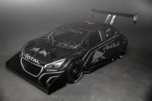 Peugeot 208 T16 Pikes Peak - 14