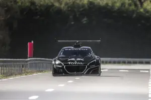 Peugeot 208 T16 Pikes Peak