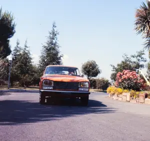 Peugeot 304