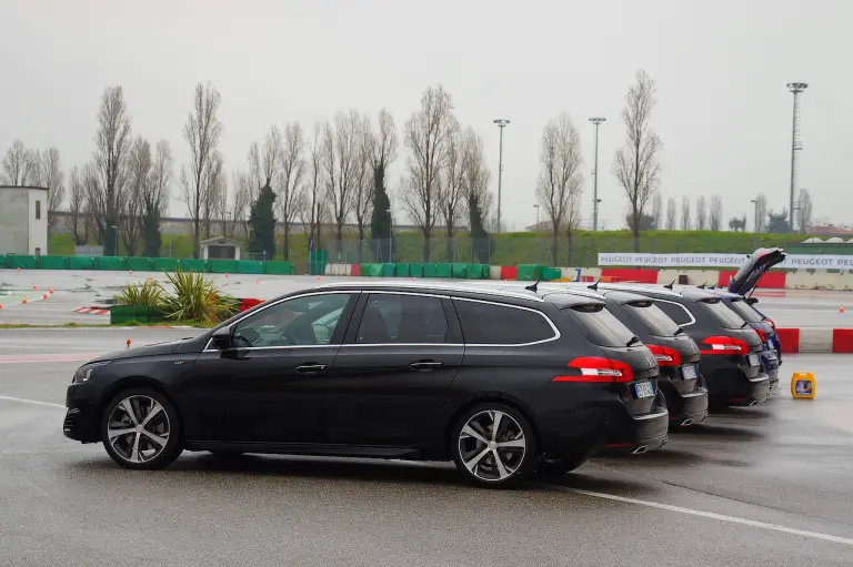 Peugeot 308 GT - Misano - 17 marzo 2015 - 1