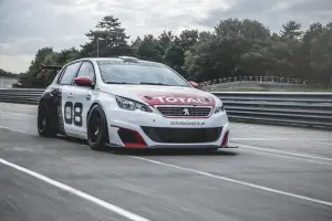 Peugeot 308 Racing Cup - 10