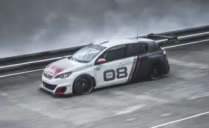 Peugeot 308 Racing Cup - 12