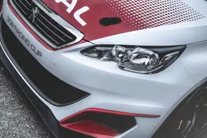Peugeot 308 Racing Cup - 14