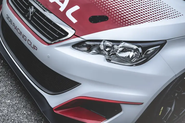 Peugeot 308 Racing Cup - 14