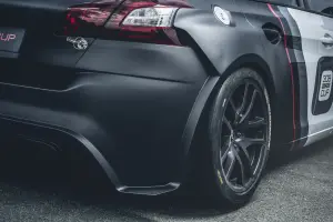 Peugeot 308 Racing Cup - 17