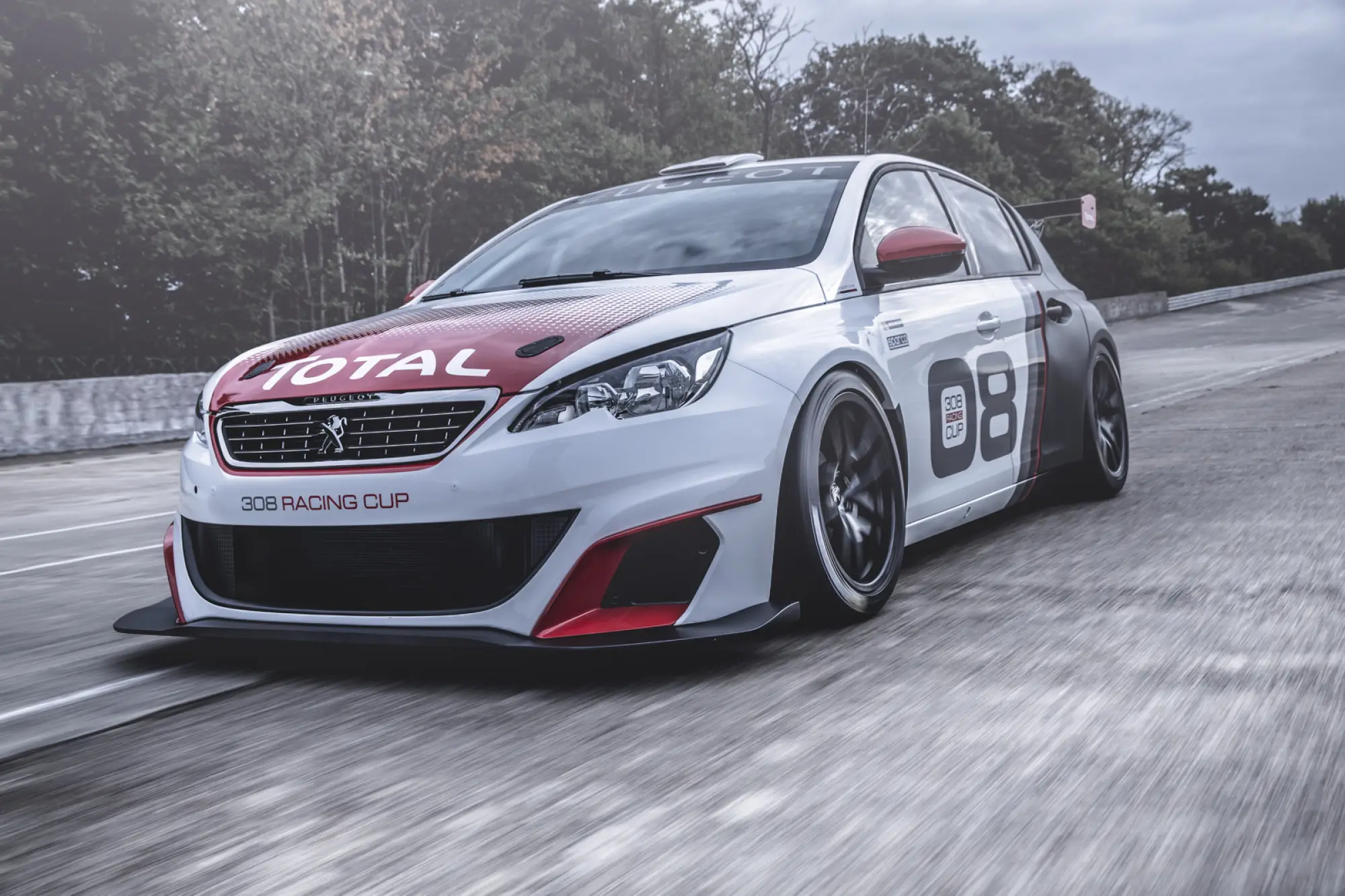 Peugeot 308 Racing Cup - 7