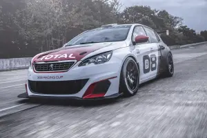 Peugeot 308 Racing Cup - 7