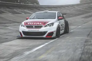 Peugeot 308 Racing Cup - 8
