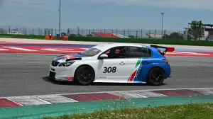 Peugeot 308 TCR 2019 - 1