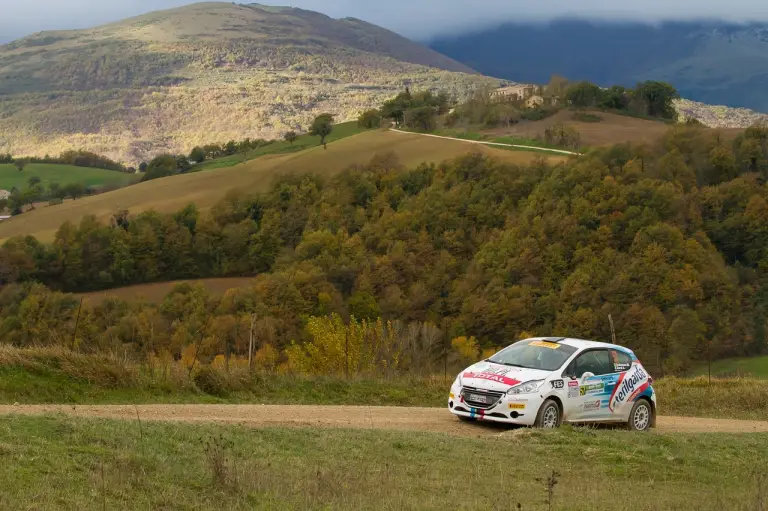 Peugeot - Challenge Raceday Terra 2016/2017 - 1