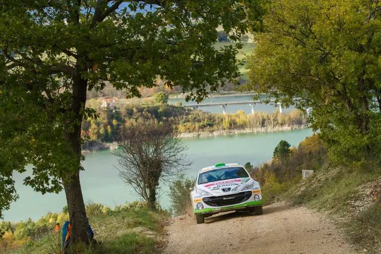 Peugeot - Challenge Raceday Terra 2016/2017 - 2