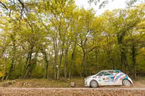 Peugeot - Challenge Raceday Terra 2016/2017 - 3