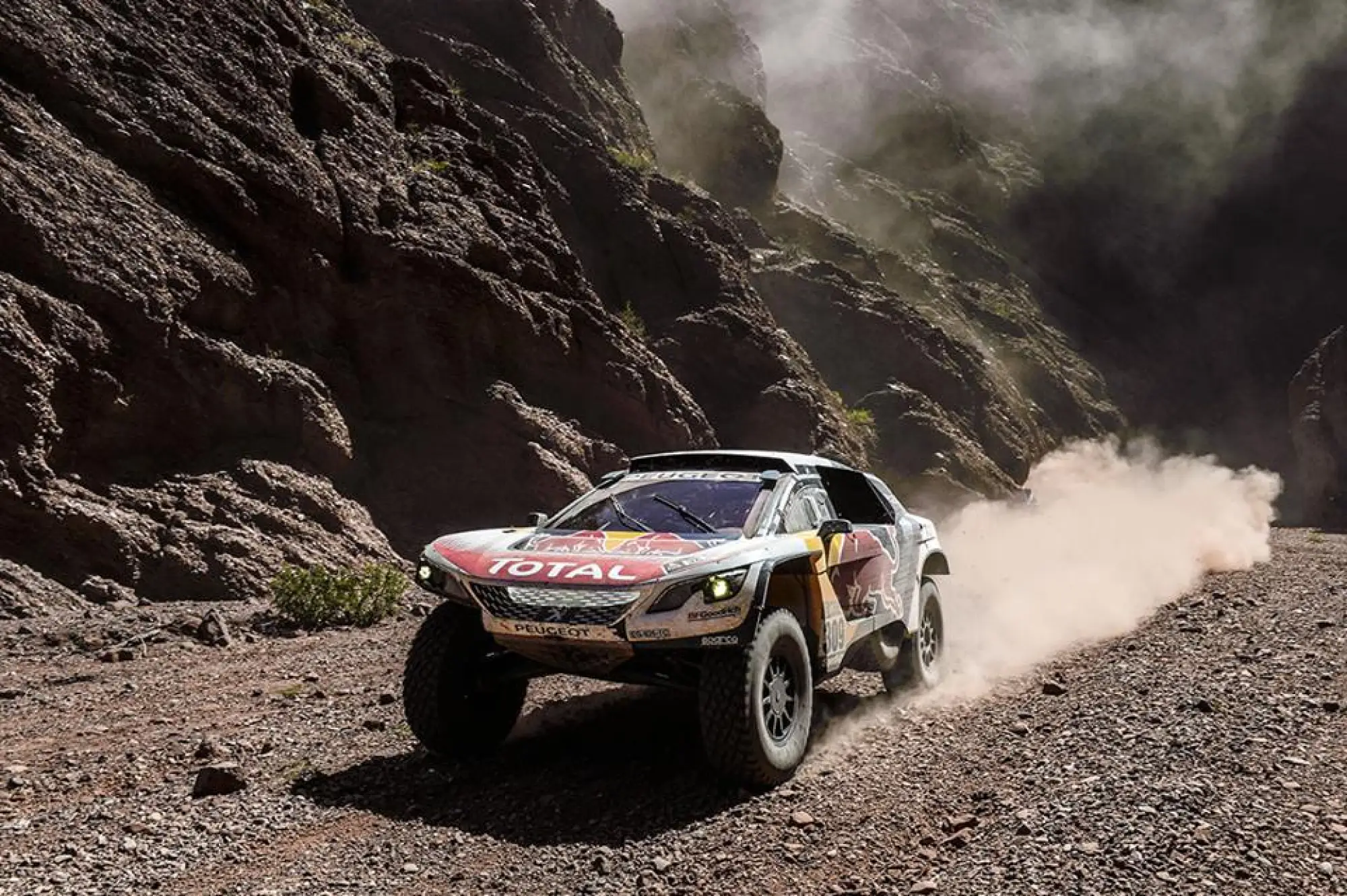 Peugeot - Dakar 2017 (3^ tappa) - 1