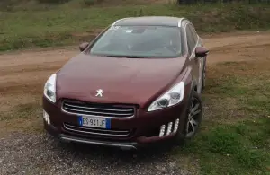 Peugeot Drive and Fun 2013