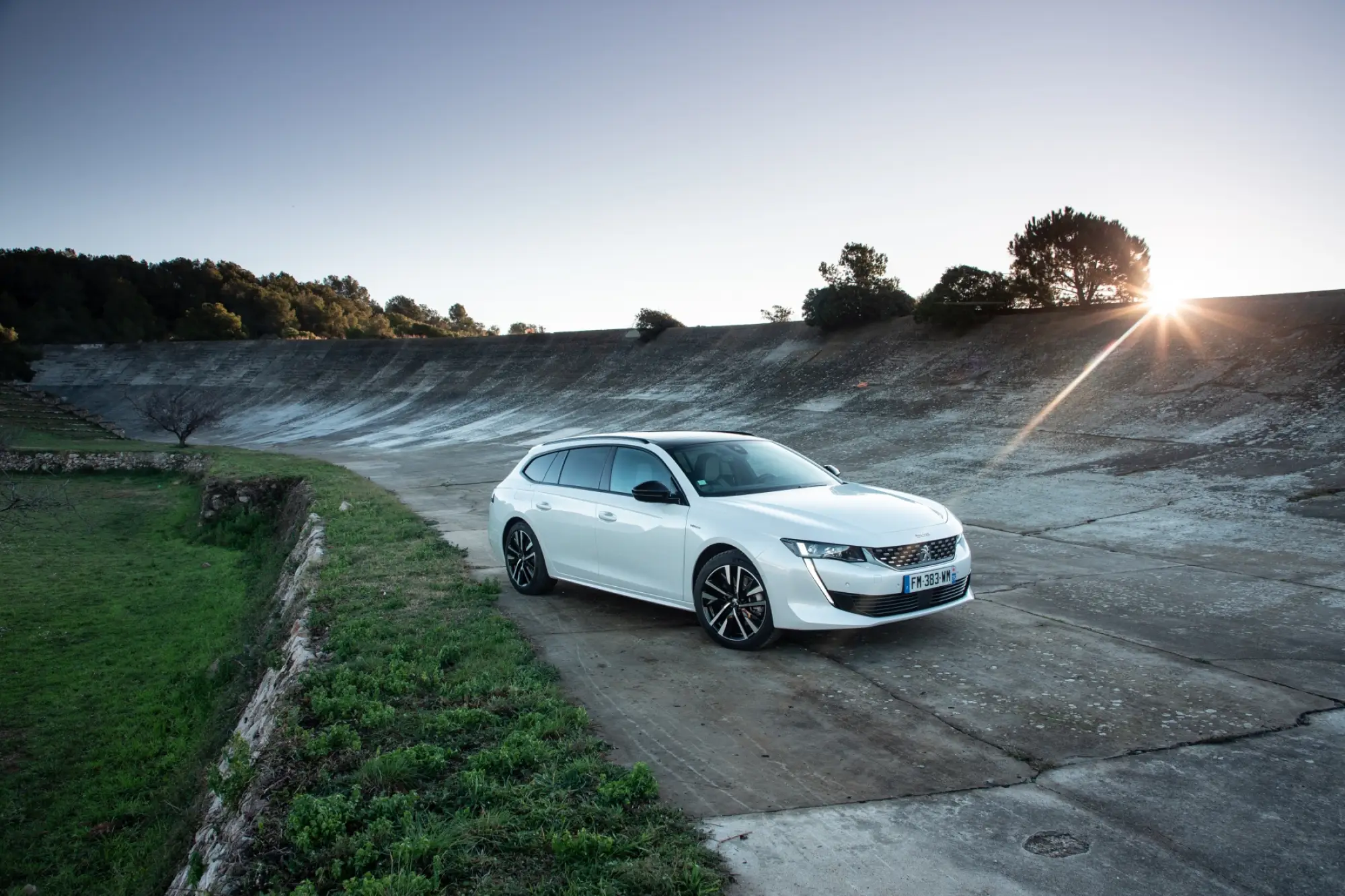 Peugeot  - Gamma elettrificata 2020 - 14