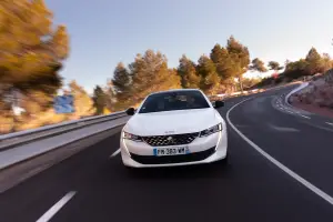 Peugeot  - Gamma elettrificata 2020 - 16