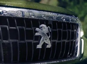 Peugeot Landtrek