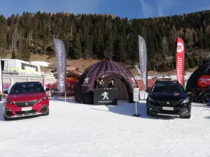 Peugeot - Rossignol Tour 2019