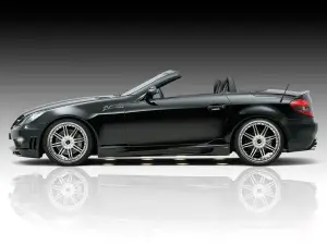 Piecha Design Mercedes SLK R171