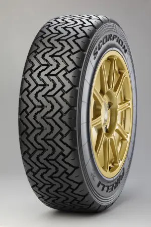 Pirelli - Gamme pneumatici WRC 2014 - 4